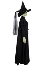 Womens Wizard of Oz Wicked Witch Premium Costume Alt 2