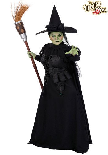 Plus Size Premium Wizard of Oz Wicked Witch Womens Costume