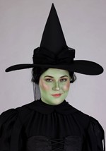 Plus Premium Wizard of Oz Wicked Witch Womens Costume Alt 4