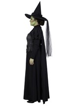 Plus Premium Wizard of Oz Wicked Witch Womens Costume Alt 2
