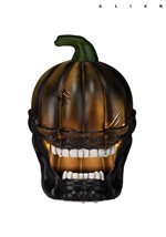 Light Up Black Pumpkin Alien Halloween Decoration Alt 1