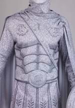 Turned to Stone Warrior Mens Costume Alt 6