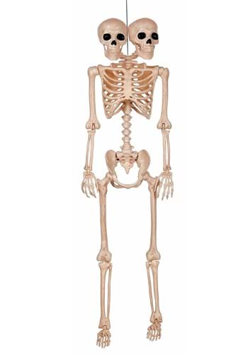 5FT Double Head Skeleton Pose N Stay Decoration
