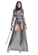 Round Table Knight Costume for Women