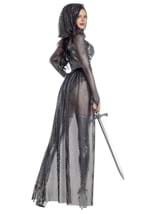 Round Table Knight Costume for Women Alt 1