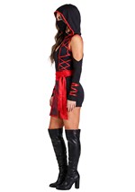 Sexy Womens Dragon Ninja Costume Alt 2