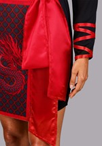 Sexy Womens Dragon Ninja Costume Alt 7