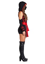 Sexy Womens Dragon Ninja Costume Alt 3
