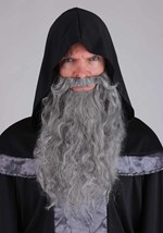 Mens Regal Dark Court  Wizard Robe Costume Alt 4