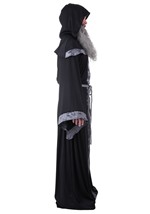 Mens Regal Dark Court  Wizard Robe Costume Alt 3