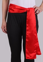 Classic Red Pirate Accessory Costume Kit Alt 4