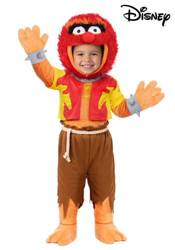 Boy's Disney Muppets Toddler Animal Baby Costume upd