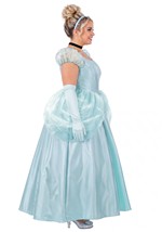 Plus Size Deluxe Disney Cinderella Dress Costume Women Alt 3