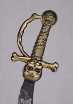 Faux Pirate Sword 2 Piece Costume Set Alt 2