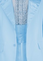 Mens Premium Dumb Dumber Harry Dunne Blue Costume Alt 7