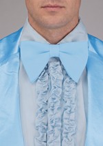 Mens Premium Dumb Dumber Harry Dunne Blue Costume Alt 6