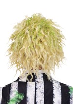 Adult Beetlejuice Costume Wig Cap Alt 1