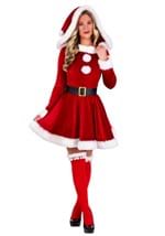Womens Sexy Santa Costume