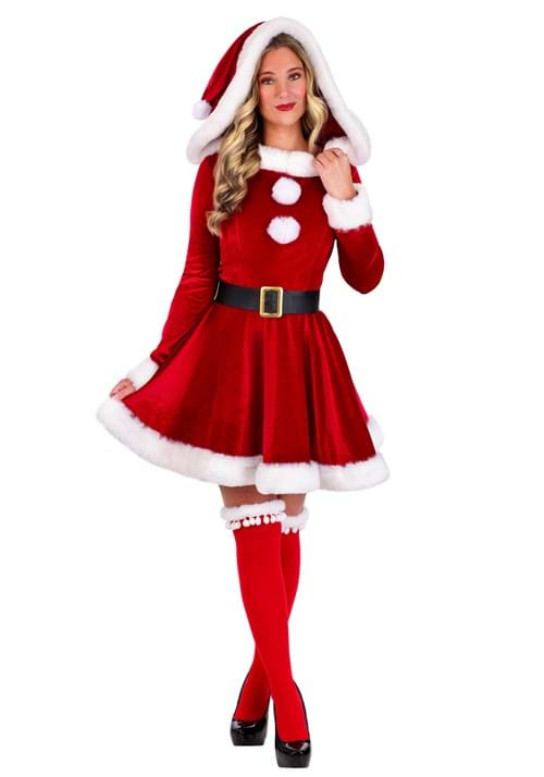 Womens Sexy Santa Costume