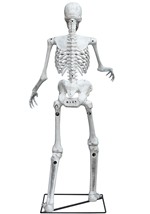 5FT ANIMATED SKELETON Alt 6