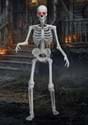 5FT Skeleton Animated Decoration upd