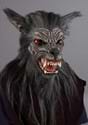 Night Hound Adult Costume Mask
