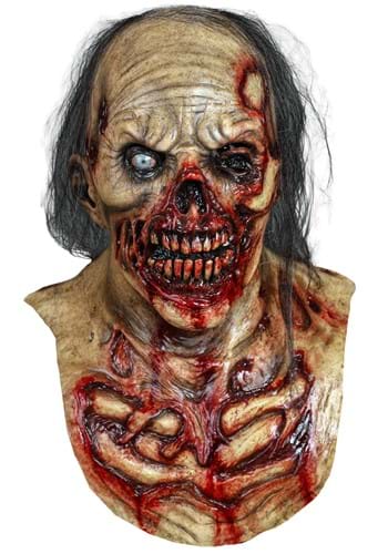 Zombie Ground Adult Costume Mask