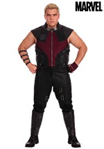Plus Marvel Avengers Deluxe Hawkeye Mens Costume Main 1