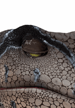 Life-Sized Realistic Raptor Adult Costume Alt 3