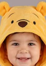 Infant Disney Winnie the Pooh Deluxe Costume Alt 4