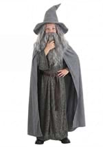 Lord of the Rings Gandalf Boys Costume Alt 1