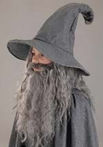 Lord of the Rings Gandalf Boys Costume Alt 3