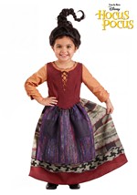Girl's Toddler Disney Mary Sanderson Deluxe Costume