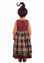 Girl's Toddler Disney Mary Sanderson Deluxe Costume Alt 1