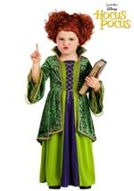 Girls Toddler Disney Winifred Sanderson Deluxe Costume