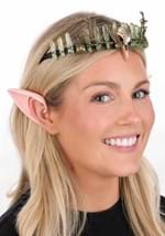Adult Fairy Queen Titania Crown Costume Kit Alt 1