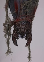 3.5 Ft. Belfry the Bat Light-Up Hanging Decoration Alt 1