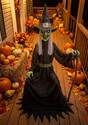 Animatronic Seated Cackling Witch Decoration