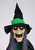 Hovering Hortense Witch Animatronic Decoration Alt 4