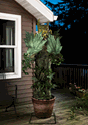6FT Animatronic The Potted Predator Plant Decoration